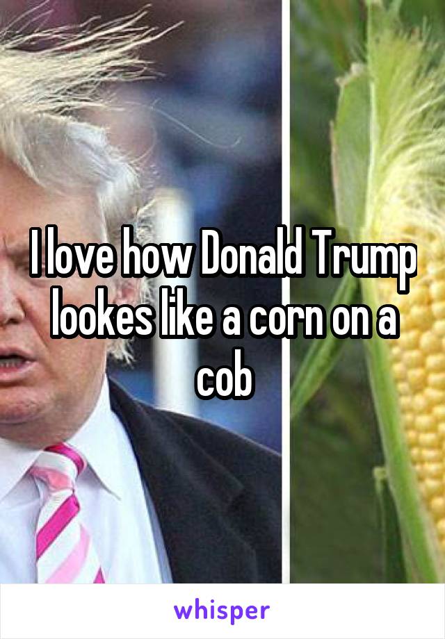 I love how Donald Trump lookes like a corn on a cob