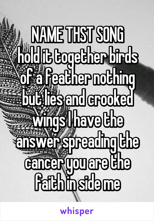 NAME THST SONG
hold it together birds of a feather nothing but lies and crooked wings I have the answer spreading the cancer you are the faith in side me