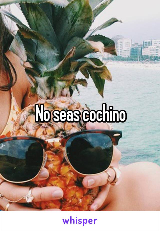 No seas cochino