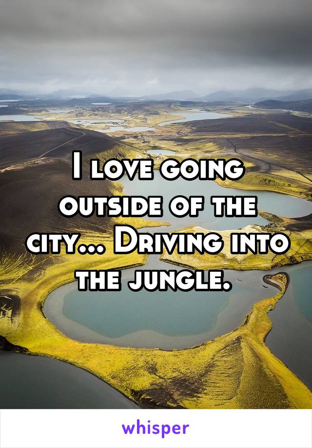 I love going outside of the city... Driving into the jungle. 