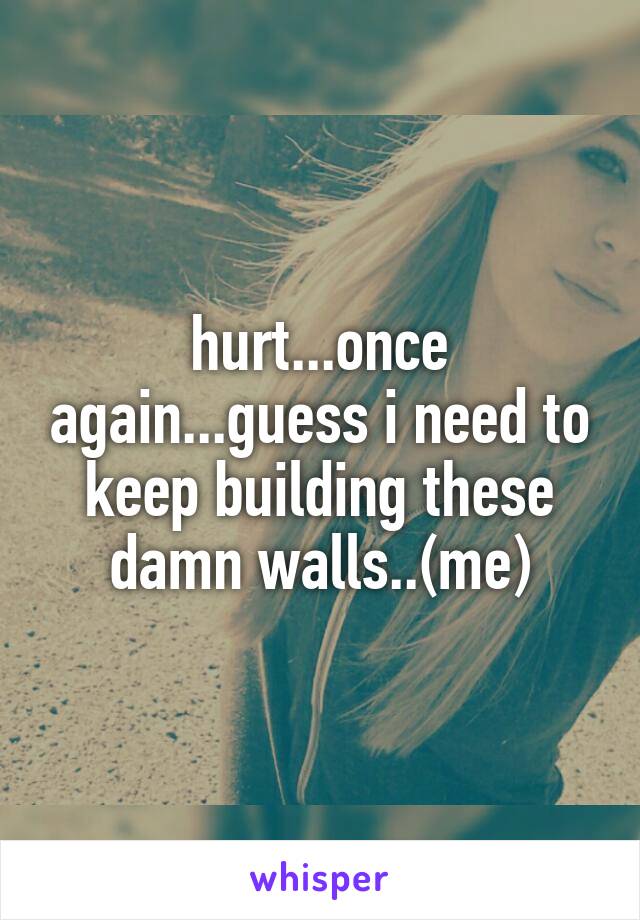 hurt...once again...guess i need to keep building these damn walls..(me)