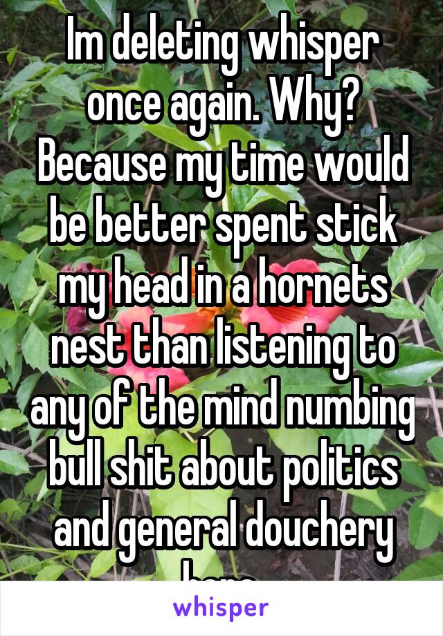 Im deleting whisper once again. Why? Because my time would be better spent stick my head in a hornets nest than listening to any of the mind numbing bull shit about politics and general douchery here.