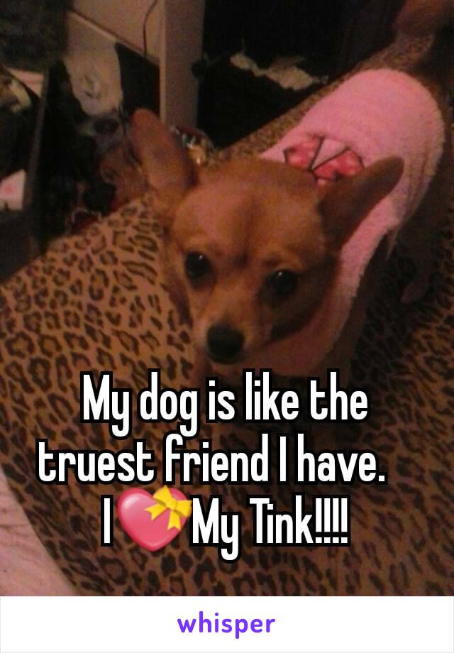 My dog is like the truest friend I have.   
I💝My Tink!!!!