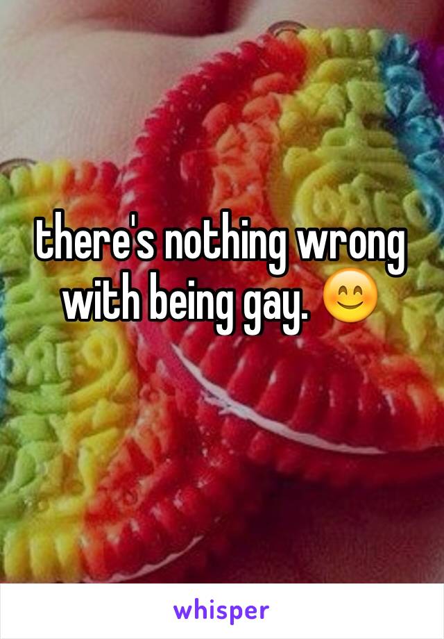 there's nothing wrong with being gay. 😊