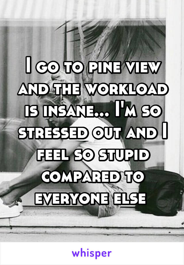 I go to pine view and the workload is insane... I'm so stressed out and I feel so stupid compared to everyone else 