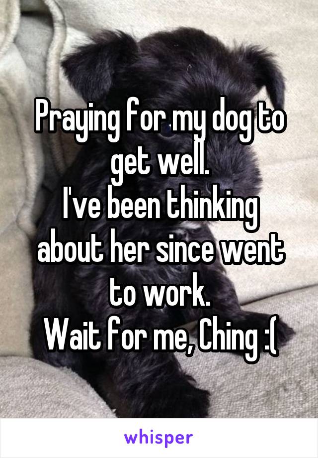 Praying for my dog to get well.
I've been thinking about her since went to work.
Wait for me, Ching :(