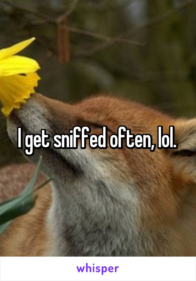 I get sniffed often, lol. 