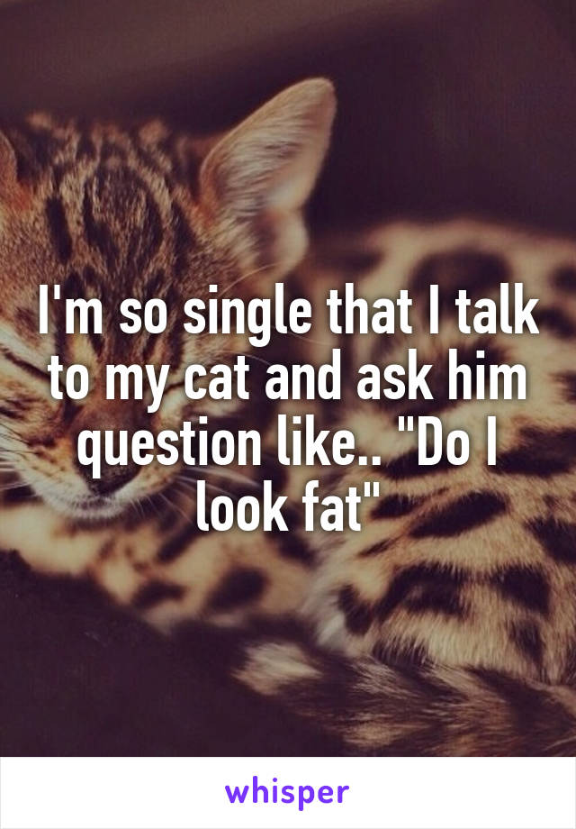 I'm so single that I talk to my cat and ask him question like.. "Do I look fat"