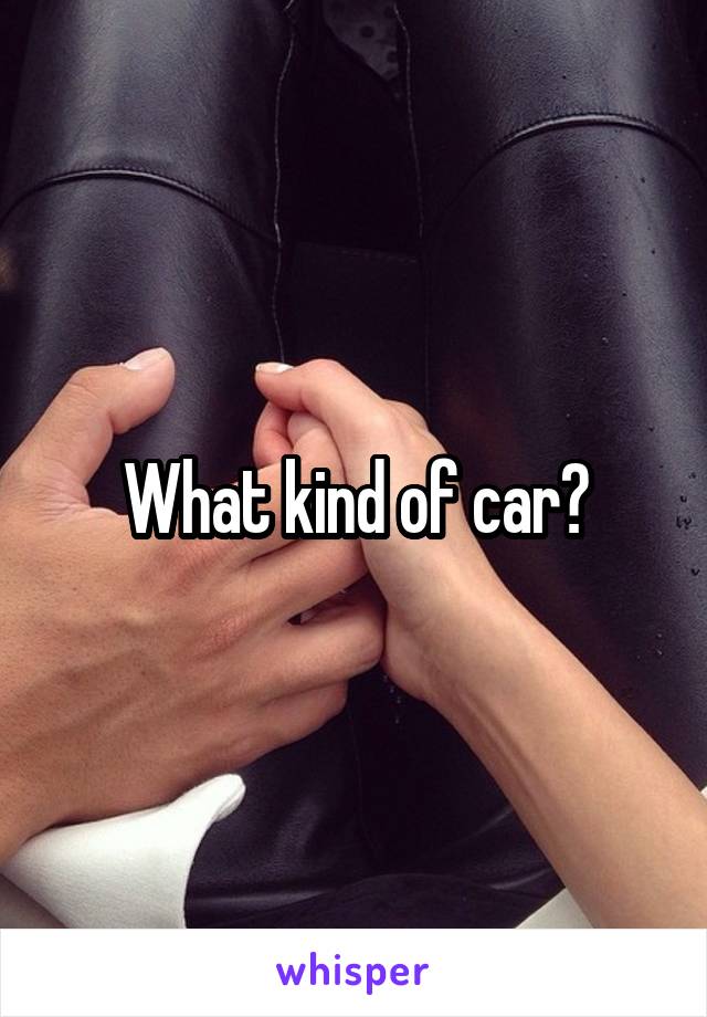 What kind of car?