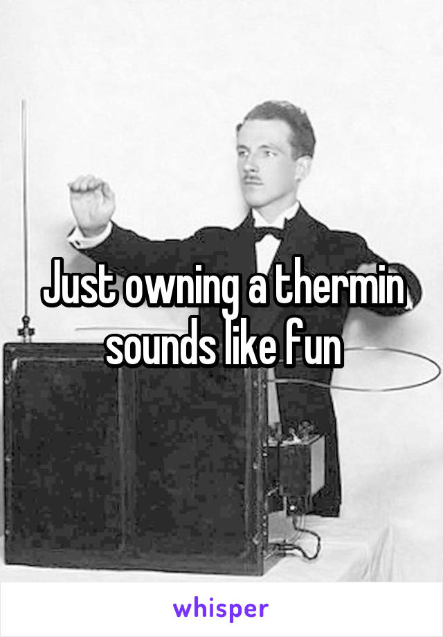 Just owning a thermin sounds like fun