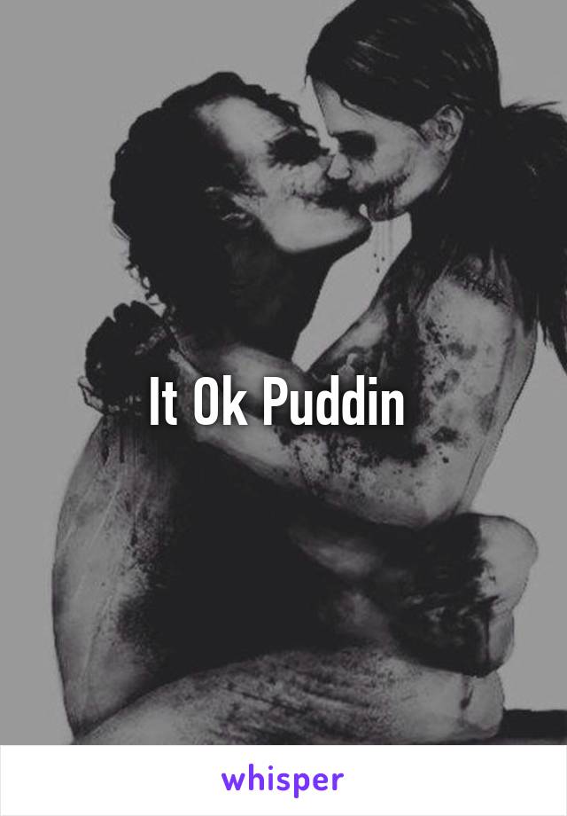 It Ok Puddin 