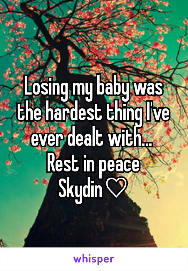 Losing my baby was the hardest thing I've ever dealt with... 
Rest in peace Skydin♡