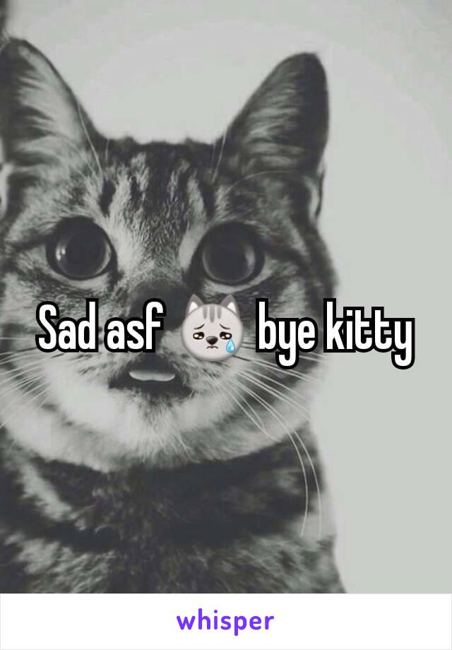 Sad asf 😿 bye kitty