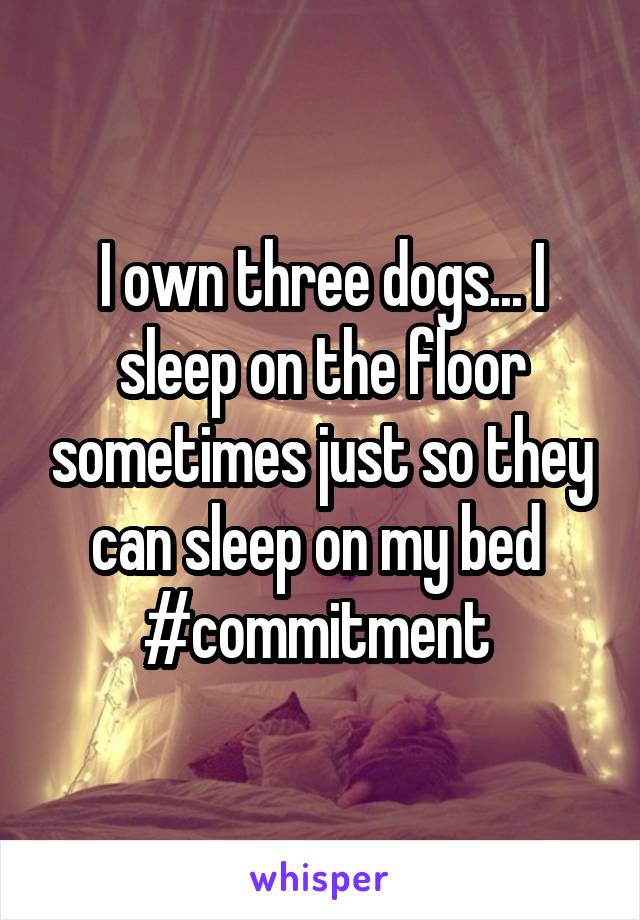 I own three dogs... I sleep on the floor sometimes just so they can sleep on my bed 
#commitment 