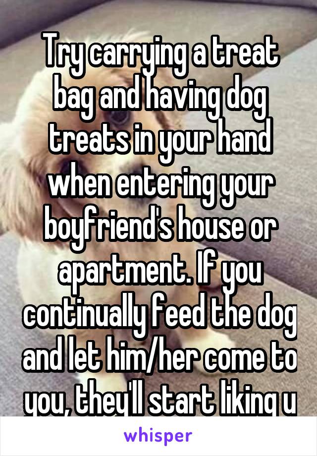 Try carrying a treat bag and having dog treats in your hand when entering your boyfriend's house or apartment. If you continually feed the dog and let him/her come to you, they'll start liking u