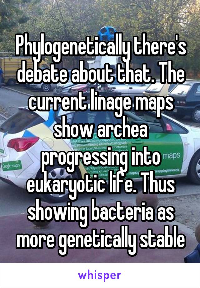 Phylogenetically there's debate about that. The current linage maps show archea progressing into eukaryotic life. Thus showing bacteria as more genetically stable