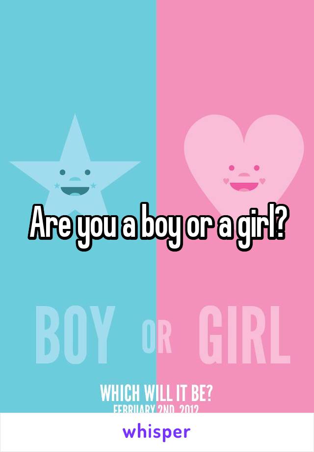 Are you a boy or a girl?