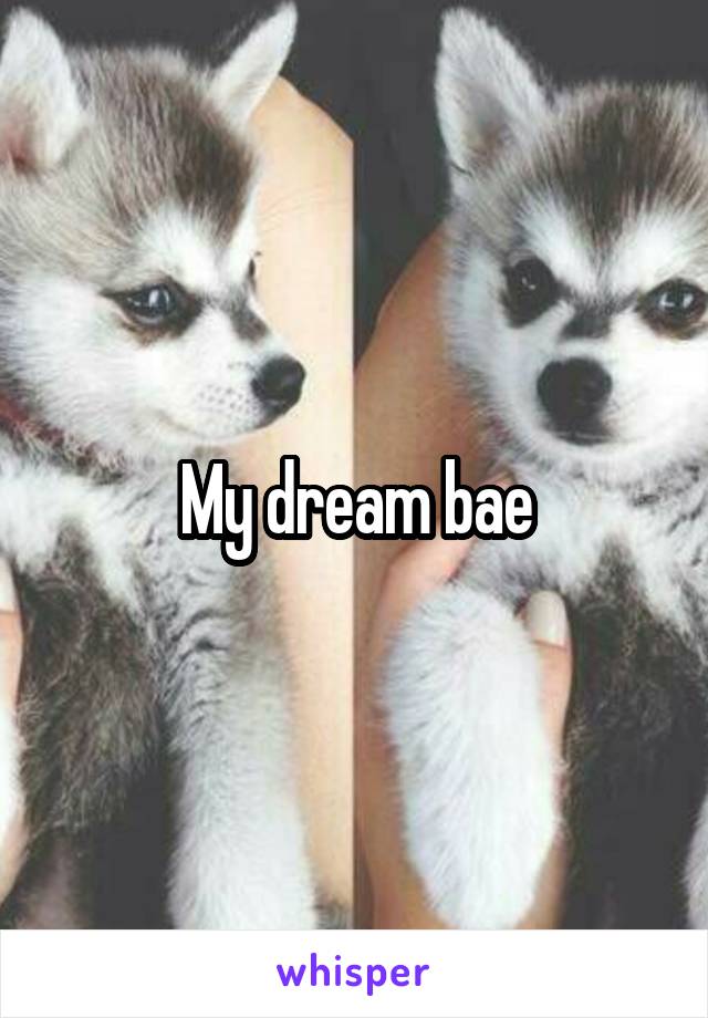 My dream bae