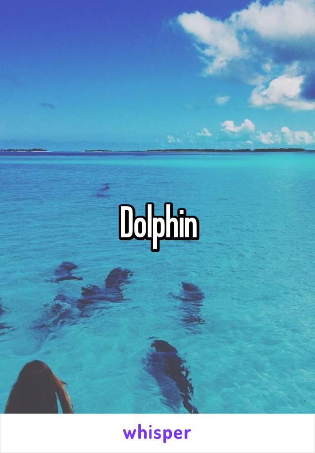 Dolphin