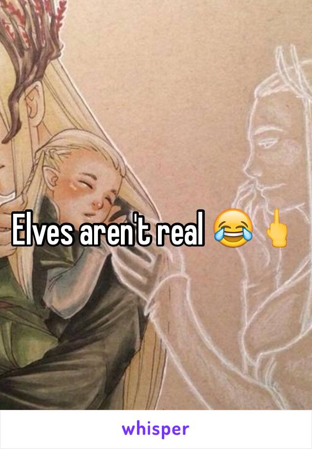 Elves aren't real 😂🖕