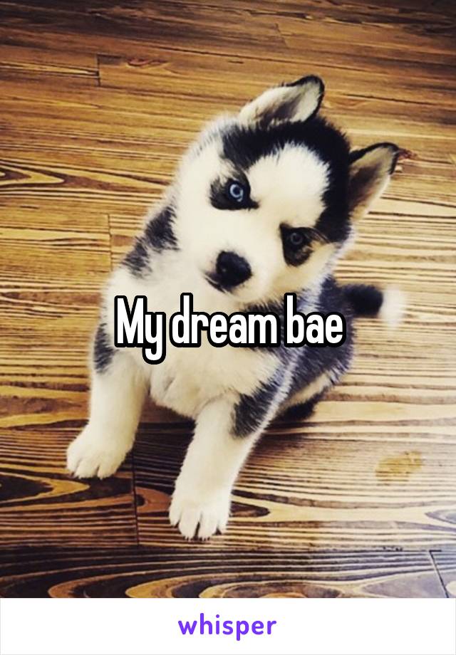 My dream bae