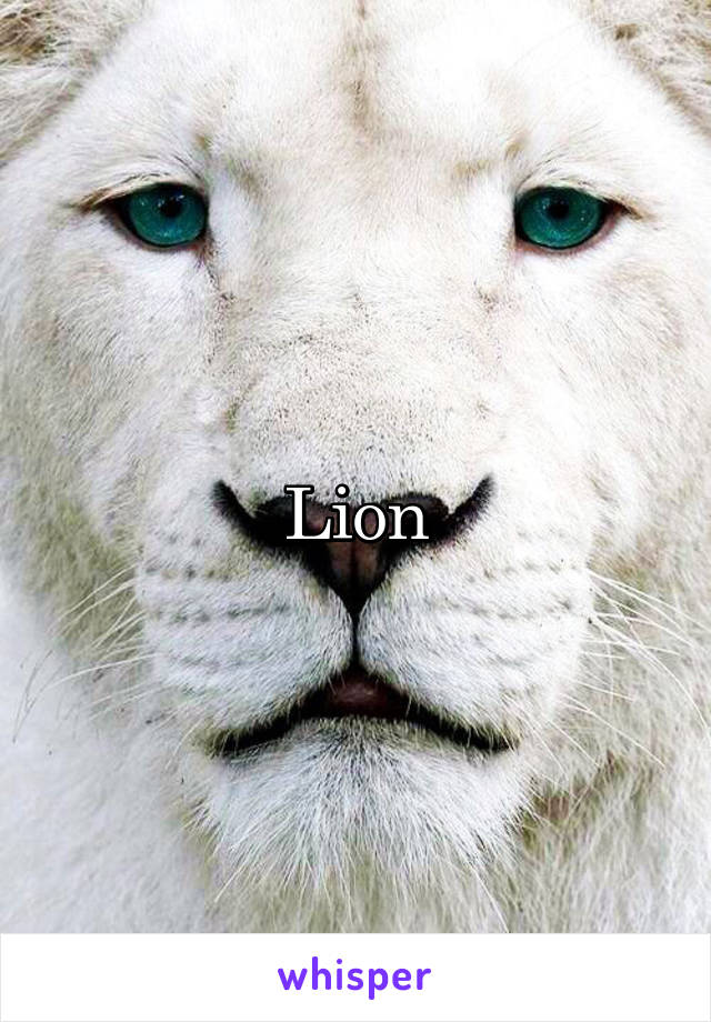 Lion