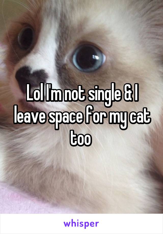 Lol I'm not single & I leave space for my cat too 