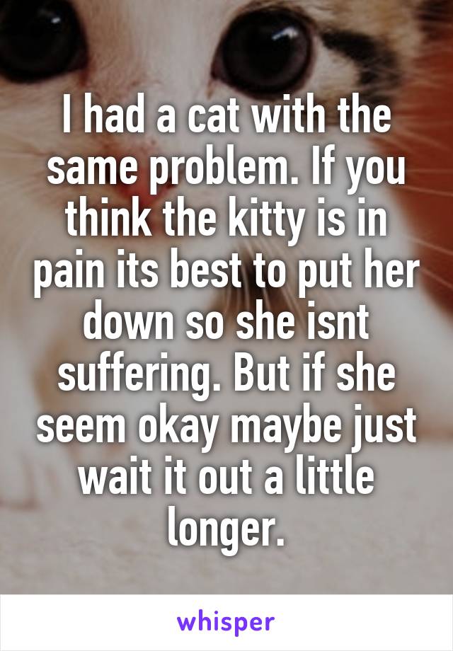 I had a cat with the same problem. If you think the kitty is in pain its best to put her down so she isnt suffering. But if she seem okay maybe just wait it out a little longer.