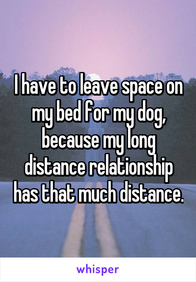 I have to leave space on my bed for my dog, because my long distance relationship has that much distance.