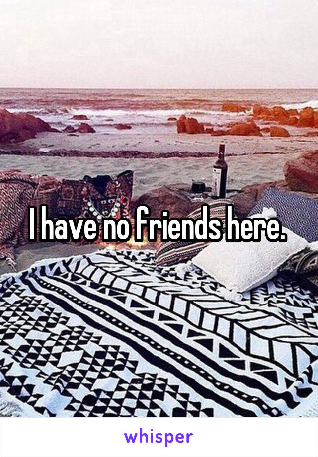 I have no friends here. 