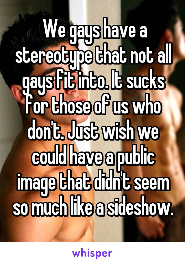  We gays have a stereotype that not all gays fit into. It sucks for those of us who don't. Just wish we could have a public image that didn't seem so much like a sideshow. 