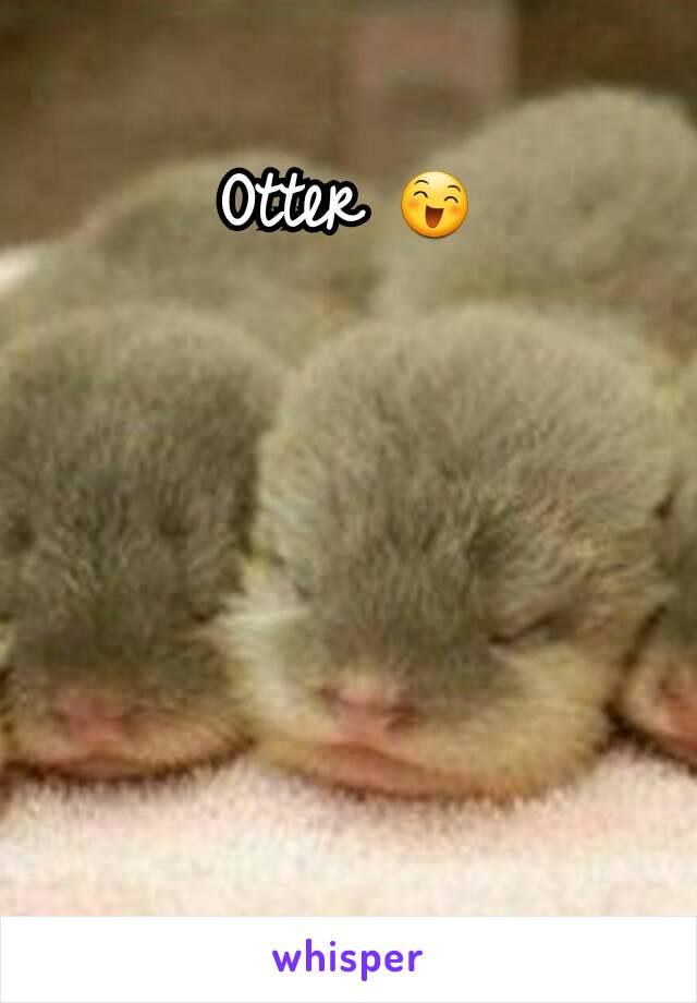 Otter 😄