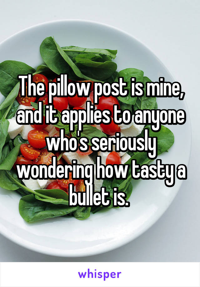 The pillow post is mine, and it applies to anyone who's seriously wondering how tasty a bullet is. 