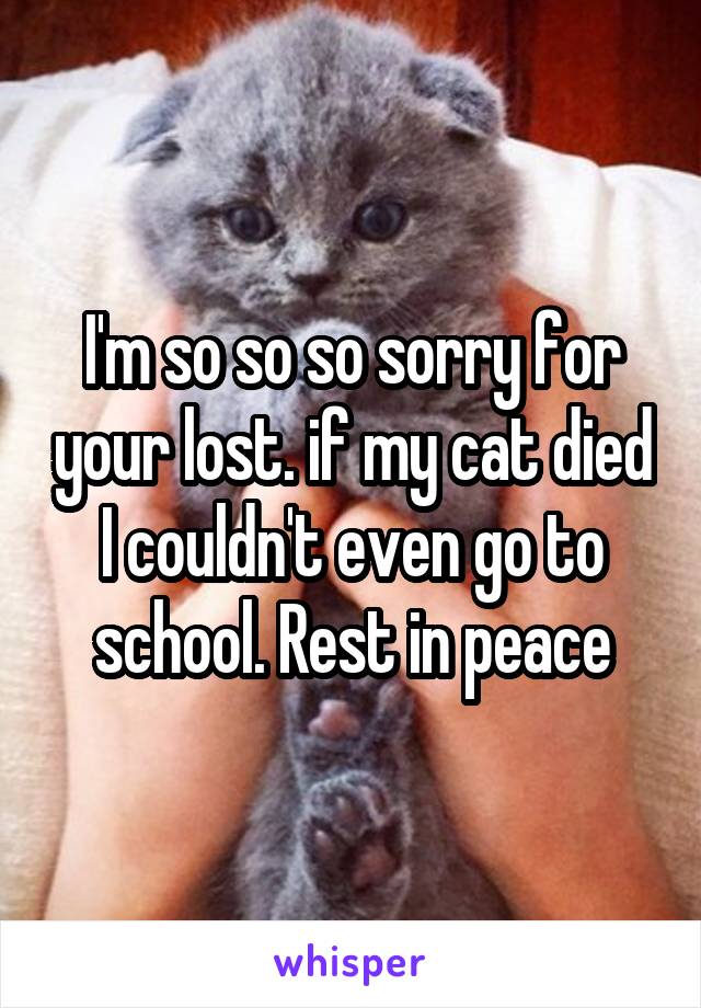 I'm so so so sorry for your lost. if my cat died I couldn't even go to school. Rest in peace