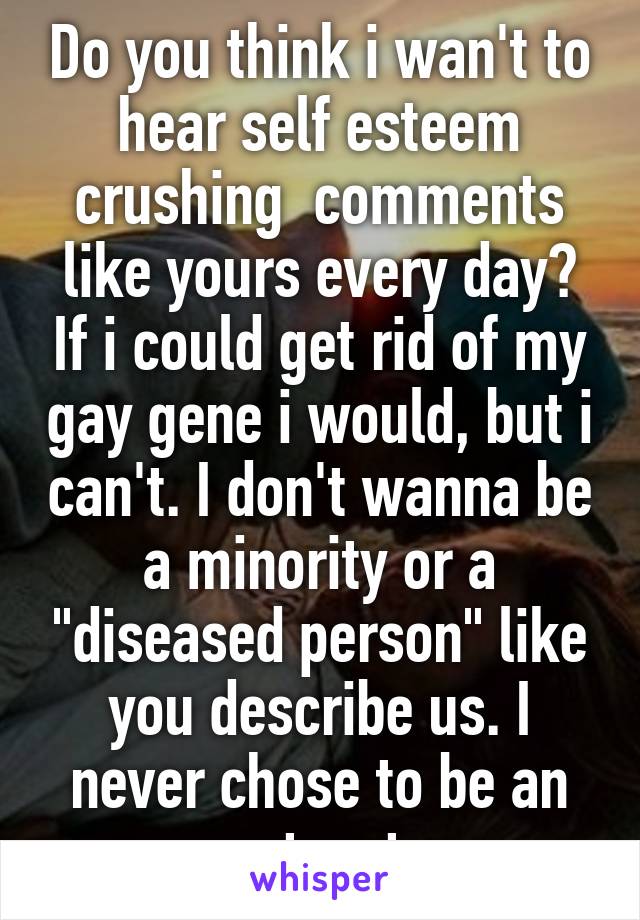 Do you think i wan't to hear self esteem crushing  comments like yours every day? If i could get rid of my gay gene i would, but i can't. I don't wanna be a minority or a "diseased person" like you describe us. I never chose to be an outcast 