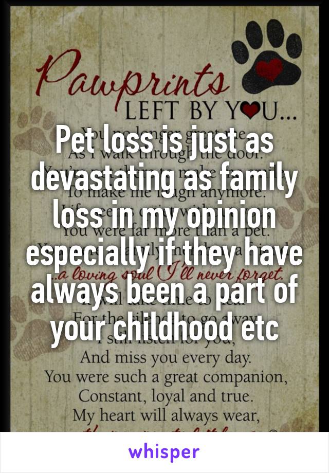 Pet loss is just as devastating as family loss in my opinion especially if they have always been a part of your childhood etc