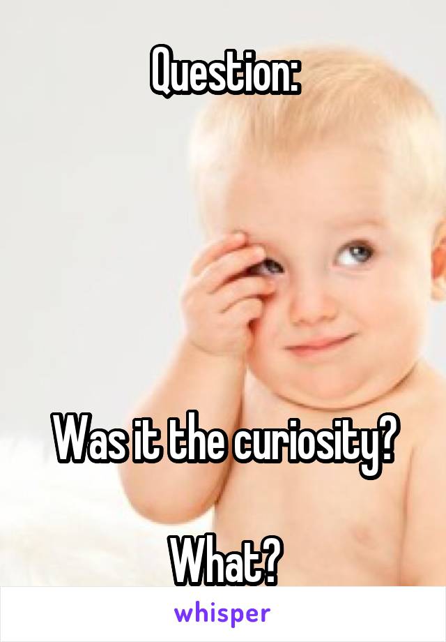 Question:





Was it the curiosity?

What?