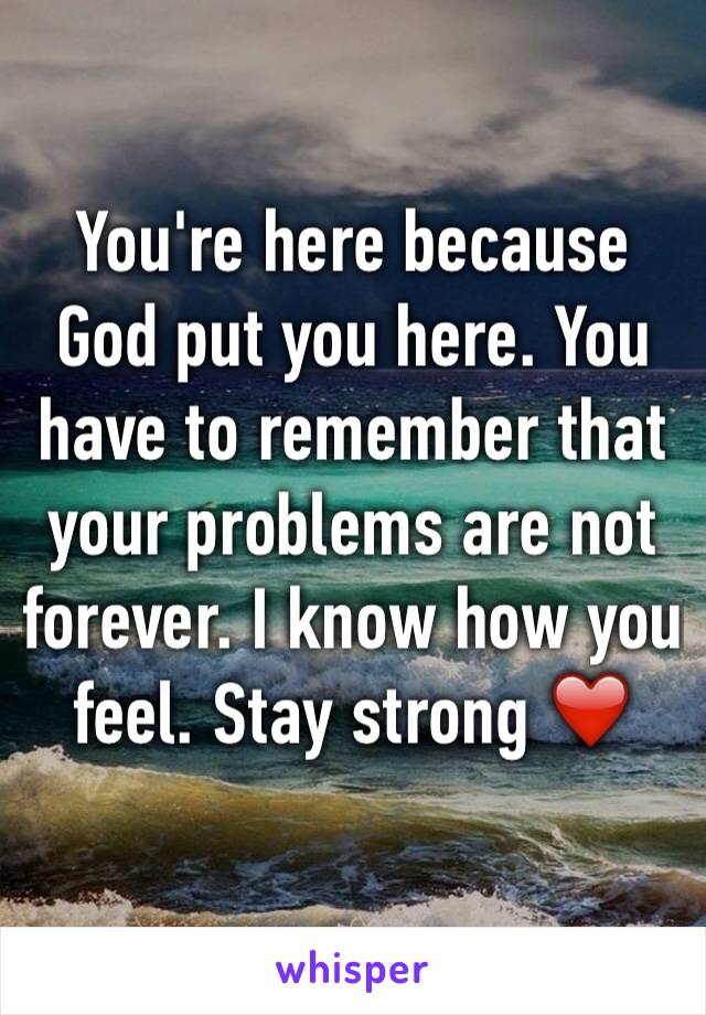 You're here because God put you here. You have to remember that your problems are not forever. I know how you feel. Stay strong ❤️