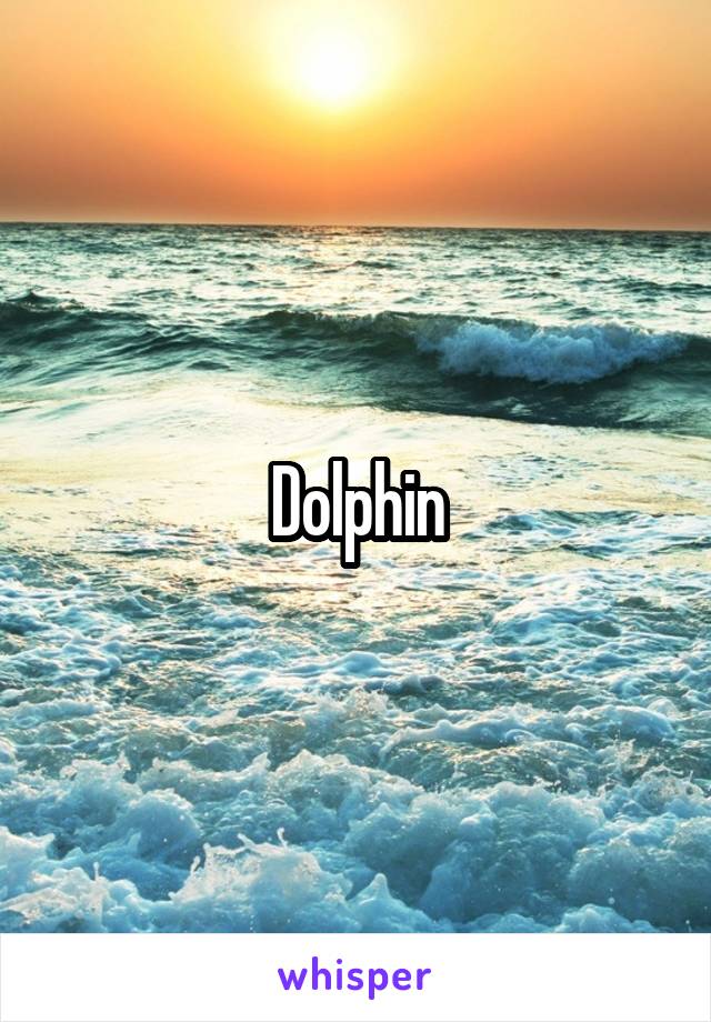 Dolphin