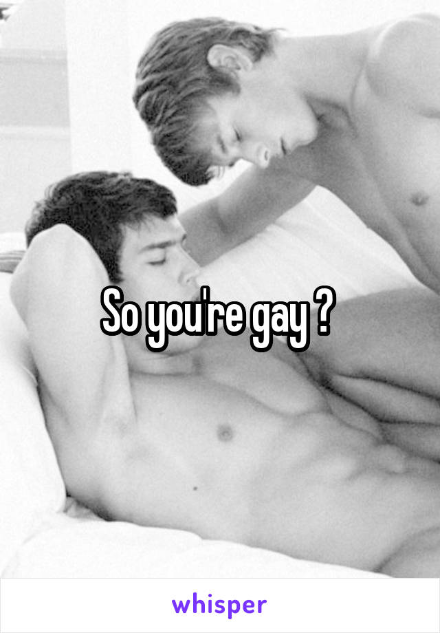 So you're gay ? 