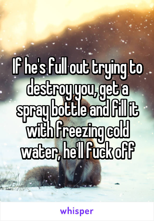 If he's full out trying to destroy you, get a spray bottle and fill it with freezing cold water, he'll fuck off