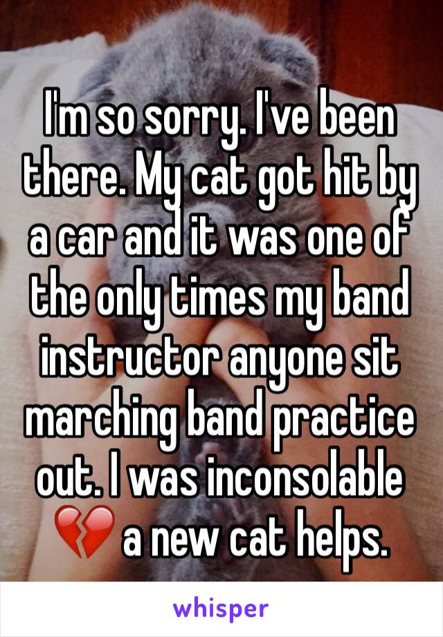 I'm so sorry. I've been there. My cat got hit by a car and it was one of the only times my band instructor anyone sit marching band practice out. I was inconsolable 💔 a new cat helps.