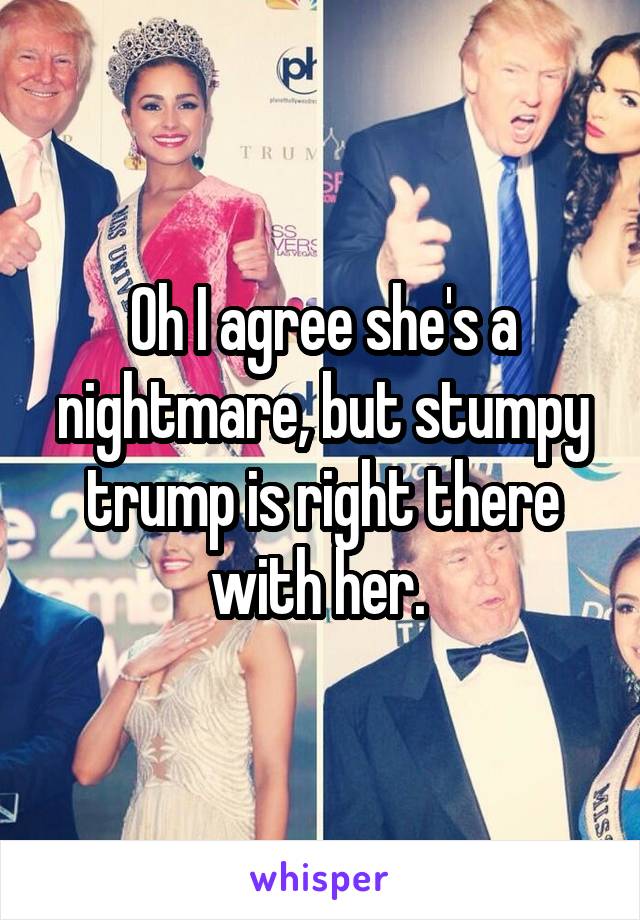 Oh I agree she's a nightmare, but stumpy trump is right there with her. 