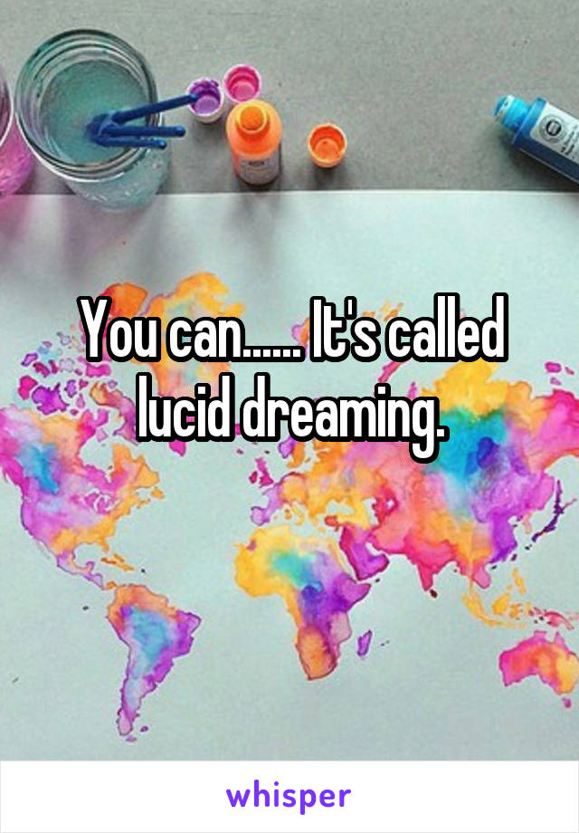 You can...... It's called lucid dreaming.
