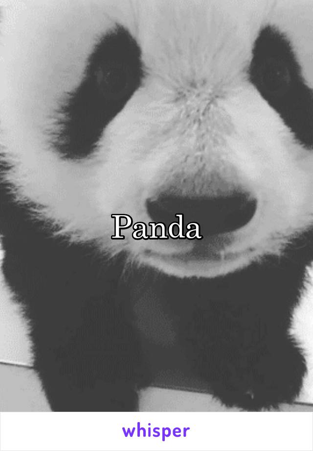 Panda