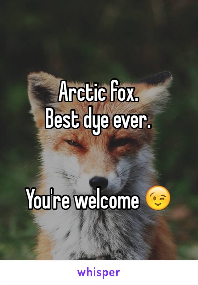 Arctic fox. 
Best dye ever. 


You're welcome 😉