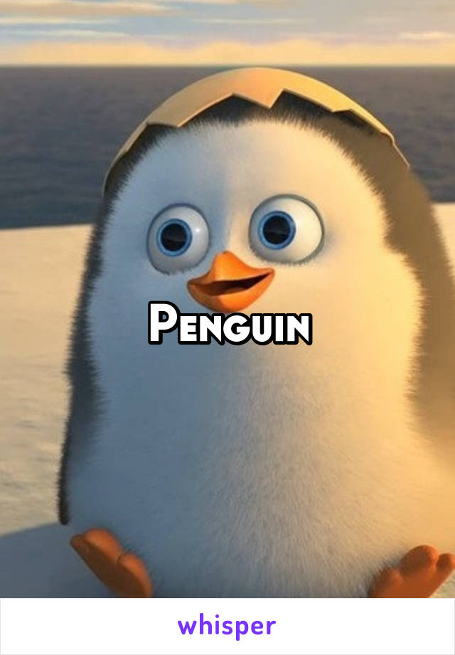 Penguin