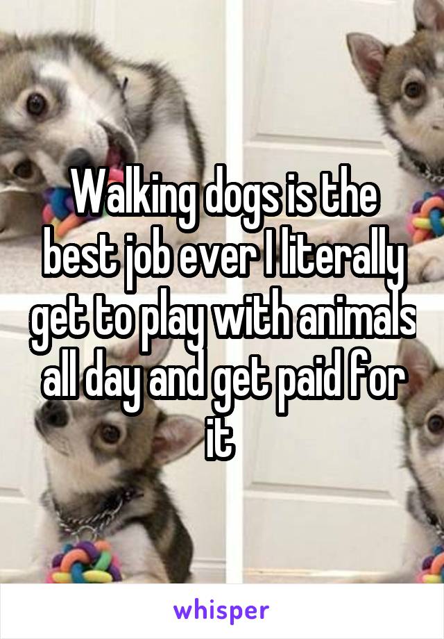 Walking dogs is the best job ever I literally get to play with animals all day and get paid for it 