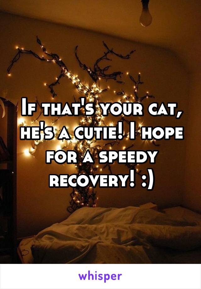 If that's your cat, he's a cutie! I hope for a speedy recovery! :)