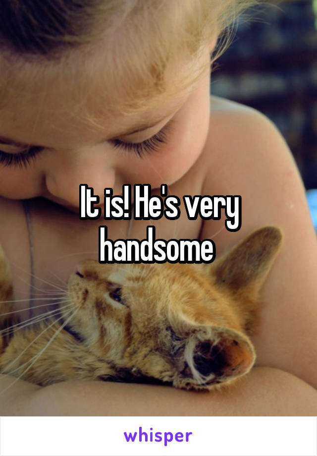 It is! He's very handsome 